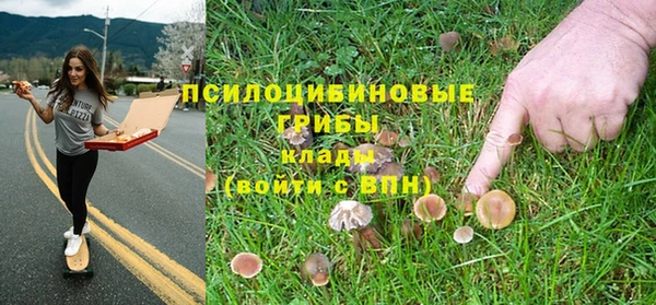 МДПВ Семикаракорск
