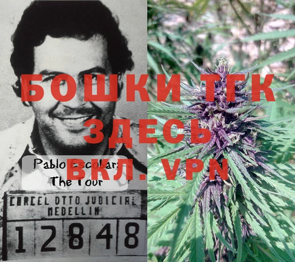 мет Семилуки