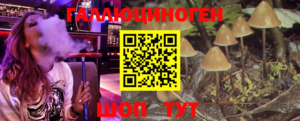 Галлюциногенные грибы Psilocybe  Вход с VPN  Псилоцибиновые грибы GOLDEN TEACHER  Бугульма 